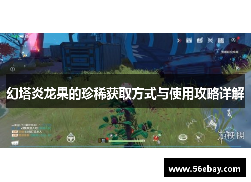 幻塔炎龙果的珍稀获取方式与使用攻略详解