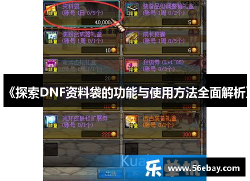 《探索DNF资料袋的功能与使用方法全面解析》