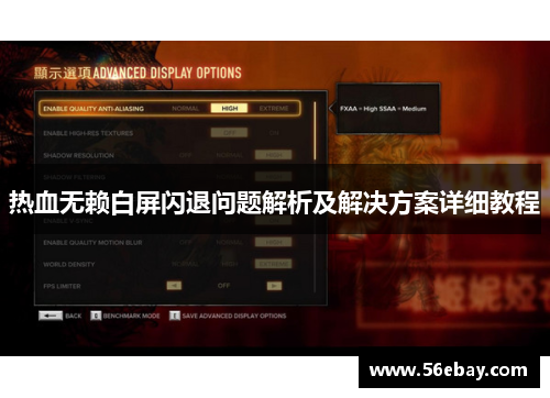 热血无赖白屏闪退问题解析及解决方案详细教程