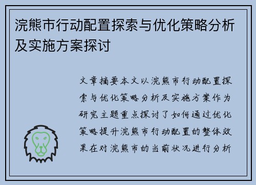 浣熊市行动配置探索与优化策略分析及实施方案探讨